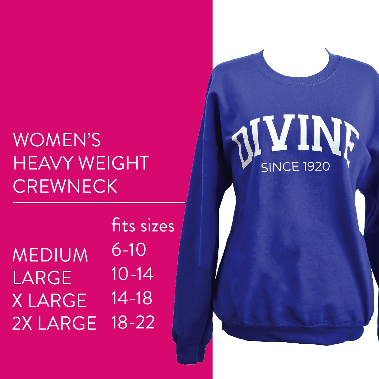 Zeta Phi Beta Sorority Sweatshirt- Divine and Sorority Name Design