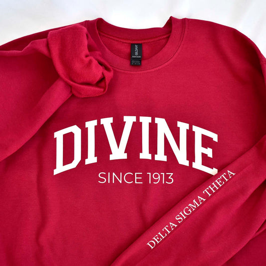 Delta Sigma Theta Sorority Sweatshirt- Divine and Sorority Name Design