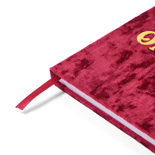 Alpha Omicron Pi Velvet Notebook with Gold Foil Imprint