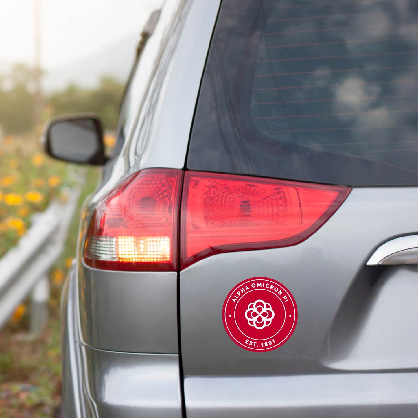Alpha Omicron Pi Sorority Car Decal Sticker- Full Color Circle Logo