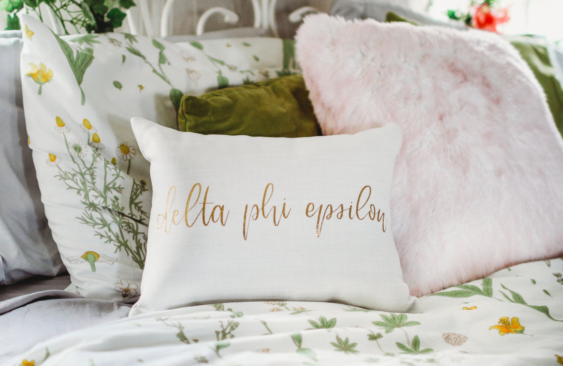 Delta Phi Epsilon Throw Pillow
