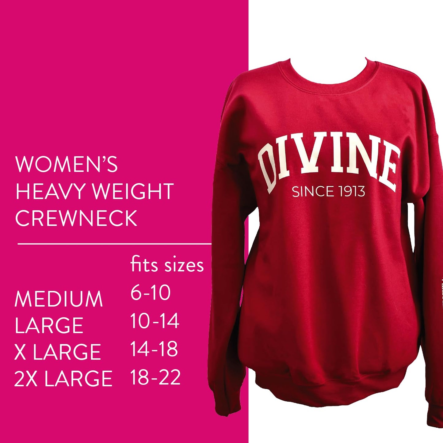 Delta Sigma Theta Sorority Sweatshirt- Divine and Sorority Name Design