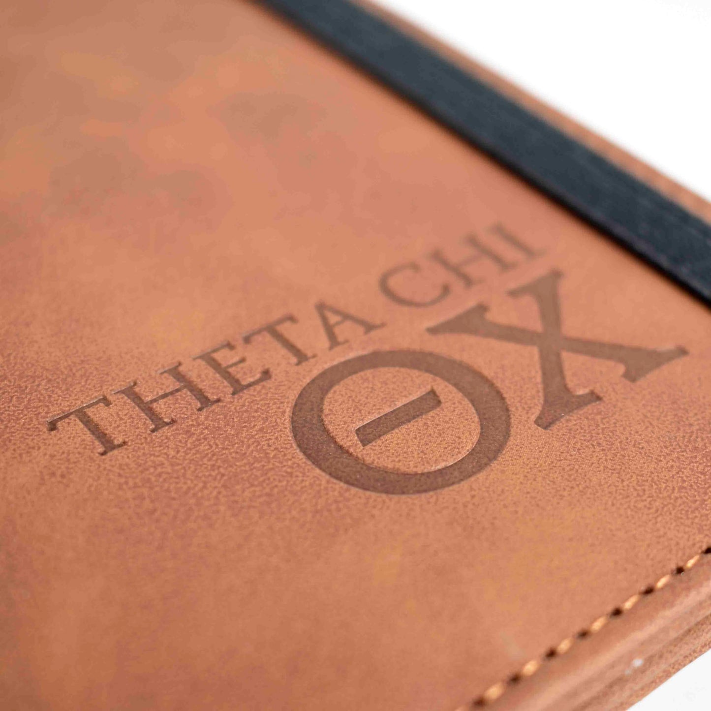 Alpha Epsilon Pi Passport Holder & Luggage Tag Travel Gift Set