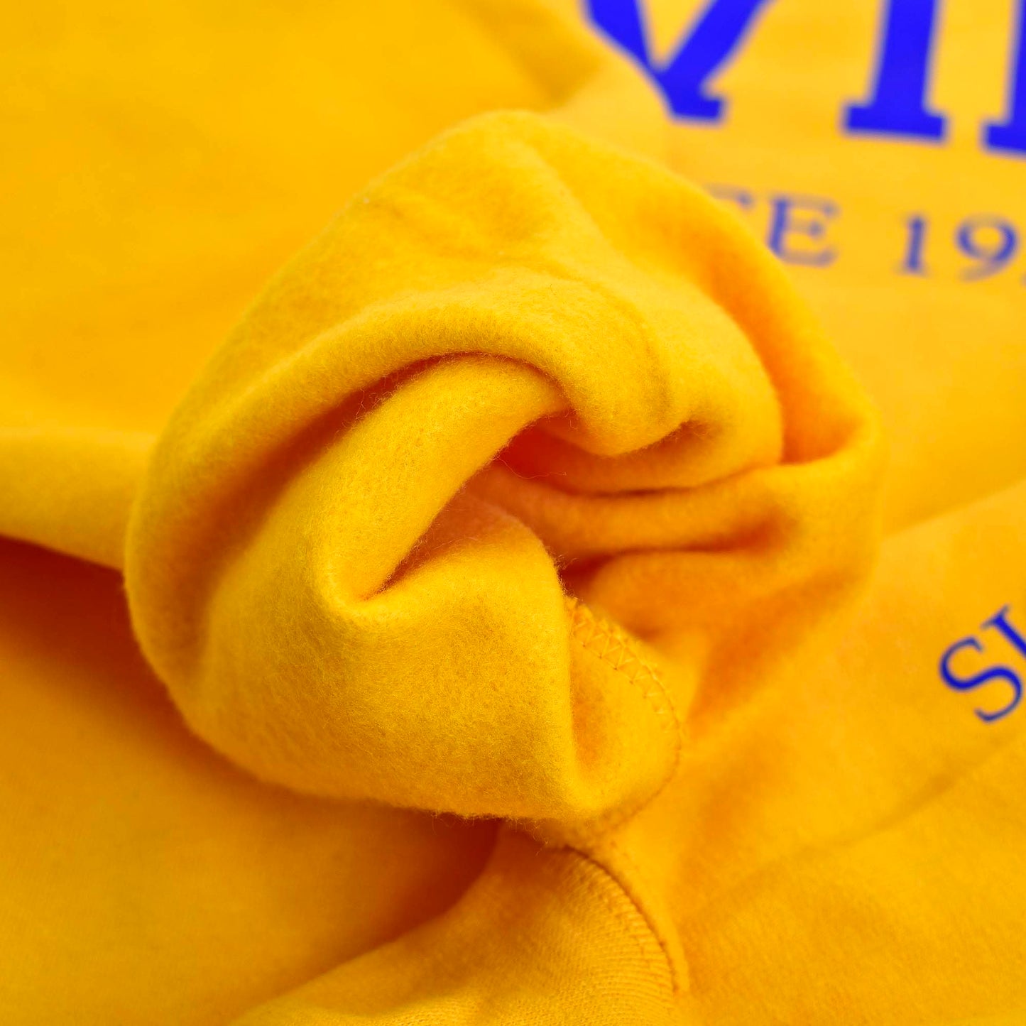 Sigma Gamma Rho Sorority Sweatshirt- Divine and Sorority Name Design