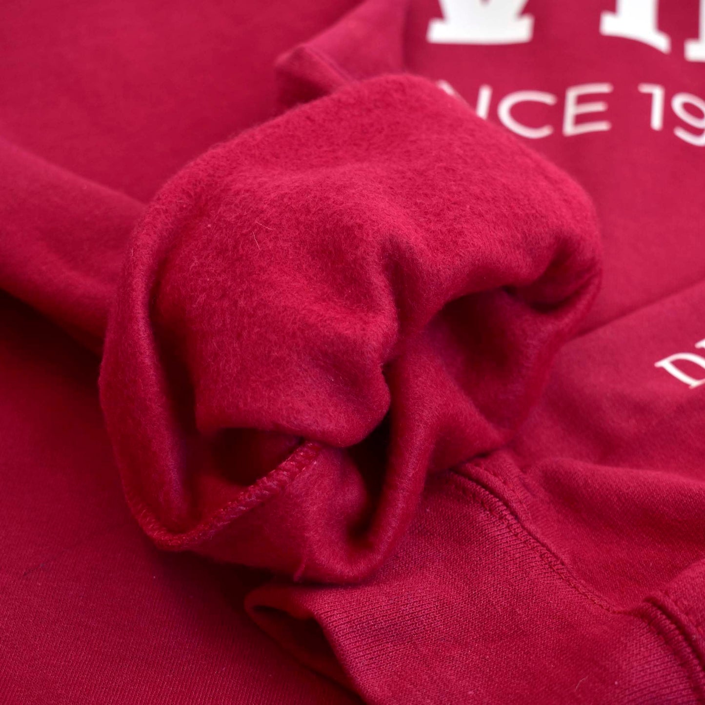 Delta Sigma Theta Sorority Sweatshirt- Divine and Sorority Name Design