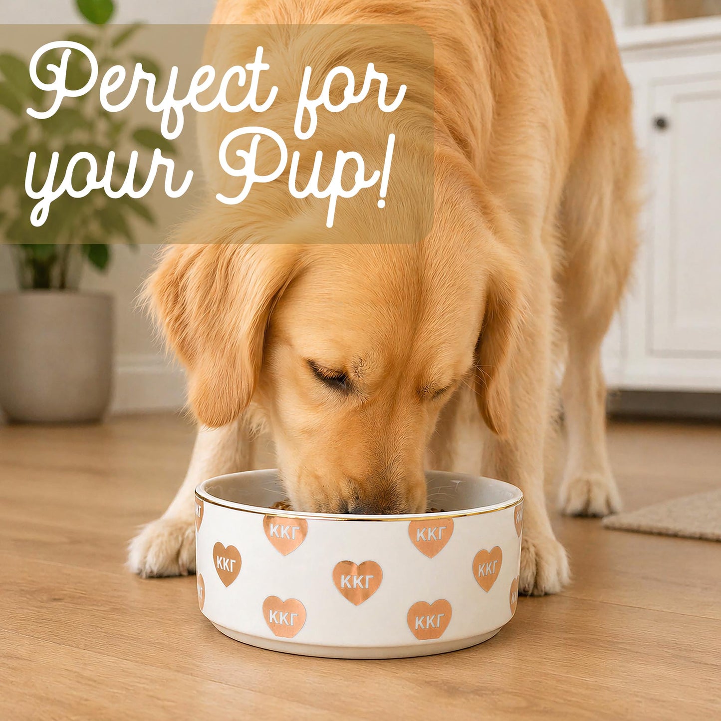 Kappa Kappa Gamma Pet Bowl- 6" Ceramic Bowl For Dogs and Cats