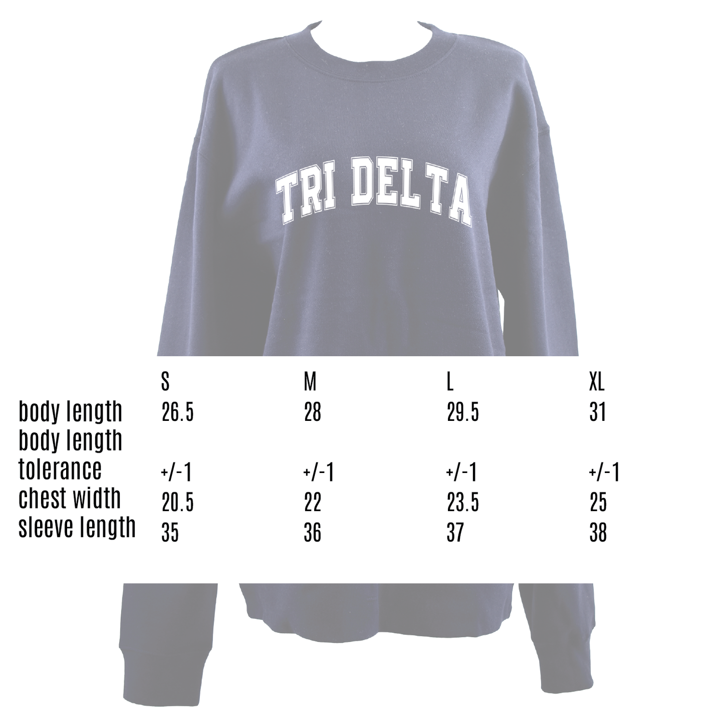 Alpha Phi Sweatshirt- Crewneck Varsity Letters Design
