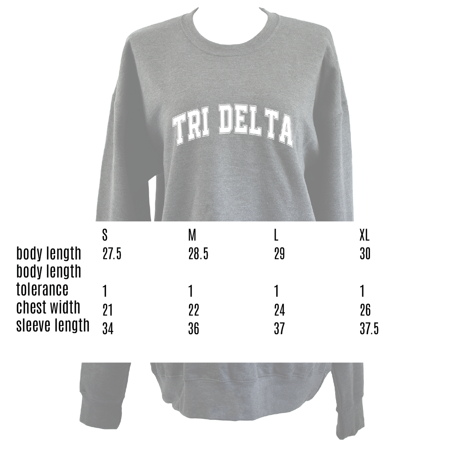 Alpha Phi Sweatshirt- Crewneck Varsity Letters Design