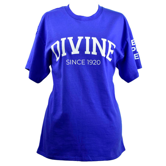 Zeta Phi Beta Sorority, Incorporated T-Shirt- Divine and Sorority Name Design
