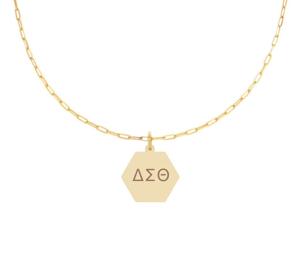 Delta Sigma Theta Paperclip Necklace with DST Sorority Pendant