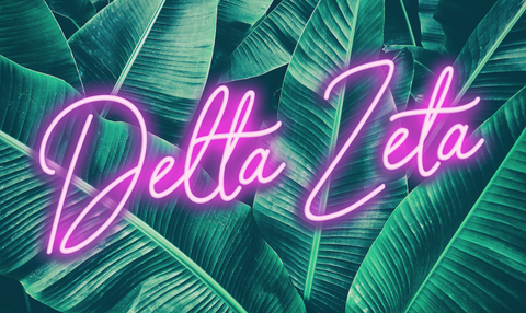 Delta Zeta Neon Palm Flag