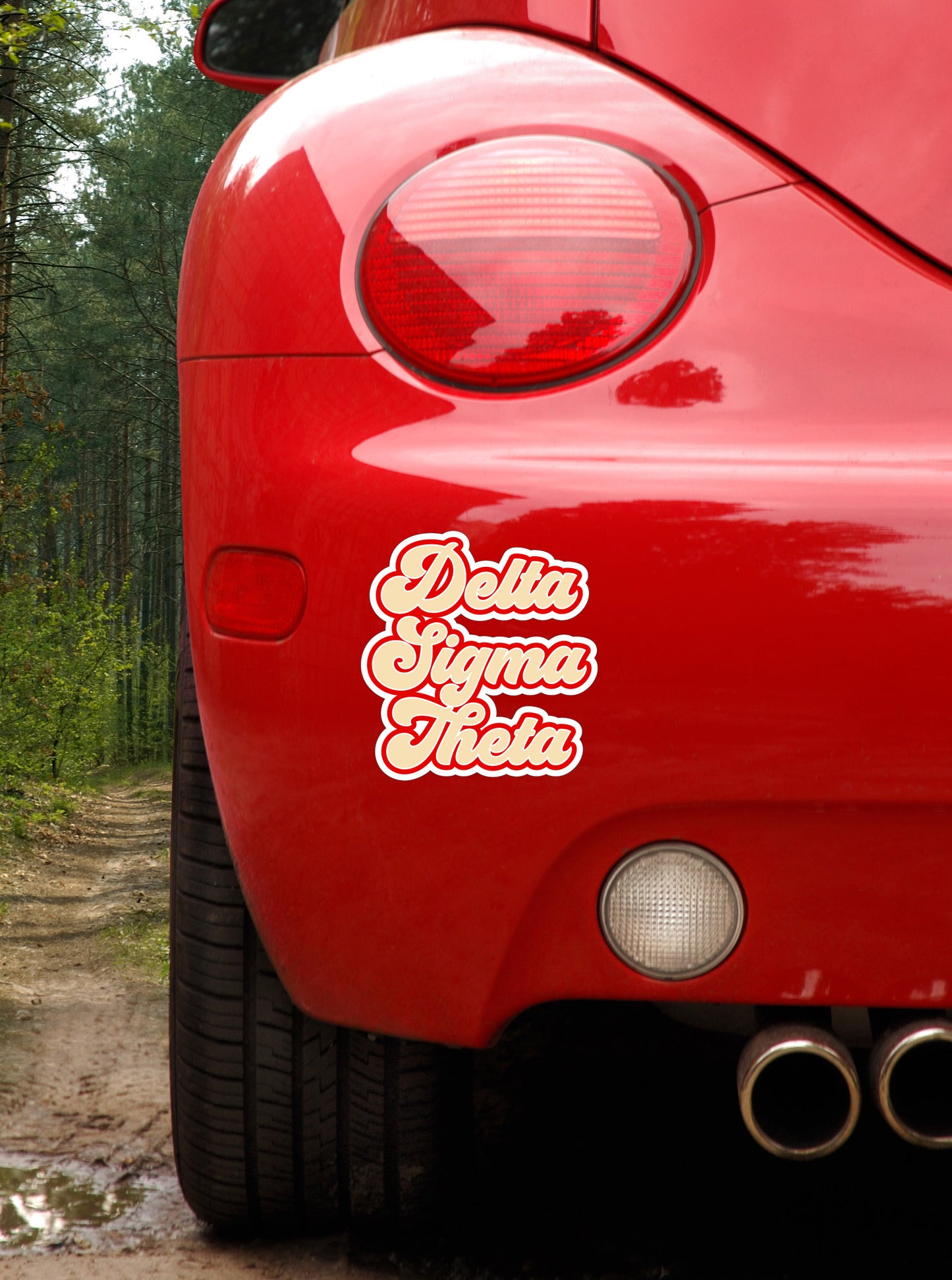 Delta Sigma Theta Retro Sorority Car Magnet Set of 2