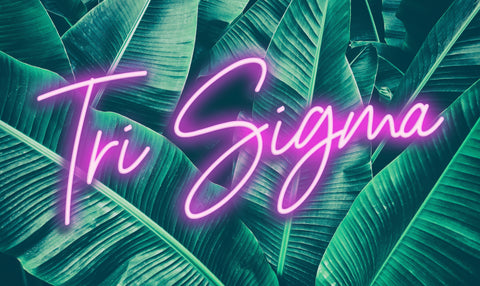 Sigma Sigma Sigma Neon Palm Flag